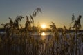 Beautiful nature and landscape photo of spring evening at lake in Sweden Scandinavia Royalty Free Stock Photo