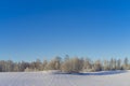 Beautiful nature and landscape photo of Swedish winter forest and field Royalty Free Stock Photo
