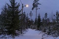 Beautiful nature and landscape photo of winter forest in Sweden Scandinavia Royalty Free Stock Photo