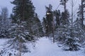 Beautiful nature and landscape photo of winter forest in Sweden Scandinavia Royalty Free Stock Photo