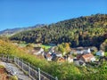 A beautiful mountain forest in Rankweil Royalty Free Stock Photo