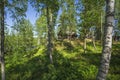 Beautiful nature landscape on sunny summer day. Small wooden private house between tall green trees on blue sky background