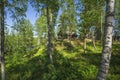 Beautiful nature landscape on sunny summer day. Small wooden private house between tall green trees on blue sky background Royalty Free Stock Photo