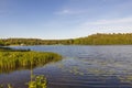 Beautiful nature landscape view of lake and motor boat parked on coast. Green trees and plants on blue sky.