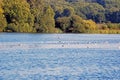 A landscape view of a lake in the Kent countryside with trees and sky in the background . Royalty Free Stock Photo