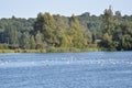 A landscape view of a lake in the Kent countryside with trees and sky in the background . Royalty Free Stock Photo