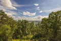 Beautiful nature landscape view with view Baltic sea. Tops of green forest trees on blue sky and white clouds Royalty Free Stock Photo