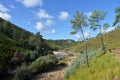 Hiking in nature in Penedo Furado, Portugal Royalty Free Stock Photo