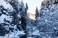 Beautiful nature lanscape Caucasus mountain river and pine forest covered with snow in winter Mestia Georgia