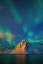 Beautiful nature lanscape of Lofoten in Norway Royalty Free Stock Photo