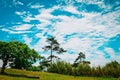 Beautiful nature of Mauritius, tropical trees on sky