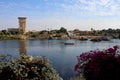 The beautiful nature mix of sandy hills and plants and river in Aswan