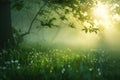 Beautiful nature at morning in the misty spring forest with sun Royalty Free Stock Photo