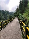 Beautiful nature in the morning and old bridge  2 Royalty Free Stock Photo