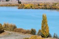 Beautiful nature near Ruataniwha lake, Twizel, New Zealand Royalty Free Stock Photo