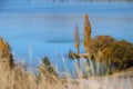 Beautiful nature near Ruataniwha lake, Twizel, New Zealand Royalty Free Stock Photo