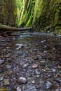 Beautiful nature in Oneonta gorge trail, Oregon. Royalty Free Stock Photo