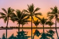 Beautiful nature with palm tree around outdoor swimming pool in hotel resort nearly sea ocean beach Royalty Free Stock Photo