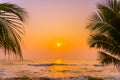 Beautiful nature with palm tree around sea ocean beach at sunset or sunrise Royalty Free Stock Photo