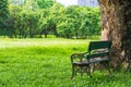 Beautiful nature in the park with bench under the tree Royalty Free Stock Photo