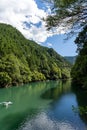 Beautiful Nature Place with water colourful background and adventure Okutama river in Japan