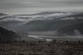 Beautiful nature after the rain. Mountains with trees, fog and low clouds. Royalty Free Stock Photo