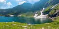 Beautiful nature of romania mountains. Royalty Free Stock Photo