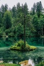 Hike to the Crestasee in Obersaxen, GraubÃÂ¼nden Switzerland