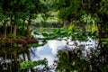 A Beautiful Nature Scene with a Fishing Dock, Glassy Lake Surface, Green Trees, Water Lilies, & Water Hyacinth Royalty Free Stock Photo