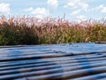 Beautiful nature scene of grass field, blue sky with clouds background with blur brown bamboo wood texture. Royalty Free Stock Photo