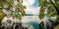 Beautiful Nature Scene Lake with trees touching the water