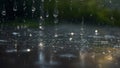 A beautiful nature scene of the rainy season with a closeup of raindrops Royalty Free Stock Photo
