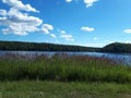 Eautiful blue lake. Forest at the backside. Green grass waves at the wind. Royalty Free Stock Photo