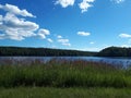 Eautiful blue lake. Forest at the backside. Green grass waves at the wind. Royalty Free Stock Photo