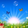 Beautiful nature spring background