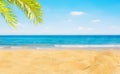 Beautiful Nature Summer Beach Background, selective focus Royalty Free Stock Photo