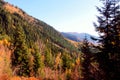 Beautiful nature of Svaneti in late autumn