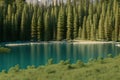 beautiful nature trees with relaxing lake Royalty Free Stock Photo