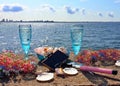 Beautiful nature vacation  romantic  summer  at sunset seascape two blue glasses of Champagne  living  coral blue white color wild Royalty Free Stock Photo