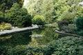 Beautiful nature view of the eco pond of the Botanical garden in Krakow, Poland