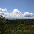 Beautiful nature view of mountain greenery with blue sky in kerala Royalty Free Stock Photo