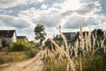 Beautiful Nature village landscape with sun flare and wheat-germ with clouds Royalty Free Stock Photo