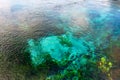 Beautiful nature at The WaikoropupÃÂ« Springs, Takaka, Abel Tasman, New Zealand Royalty Free Stock Photo