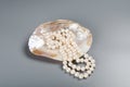 Beautiful necklace of white pearls in pearl Royalty Free Stock Photo