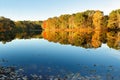 Beautiful New England Fall Foliage with reflections at sunrise, Boston Massachusetts. Royalty Free Stock Photo