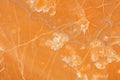 Beautiful New Extra Quality Orange Onyx in contrast color, texture for your individual interior project.