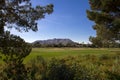 Beautiful new modern golf course fairway in Arizona Royalty Free Stock Photo