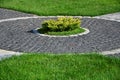 A beautiful new walkway made of paving stone is located among the green gras