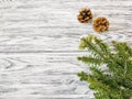 Pine twigs with forest cones on a white wooden background. Beautiful winter pattern