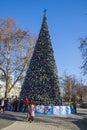 Beautiful new year tree in centre of Krasnodar